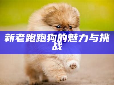 新一代社区跑狗论坛的全新体验与探索