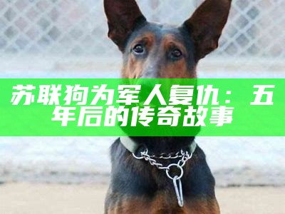 苏联狗为军人复仇：五年后的传奇故事