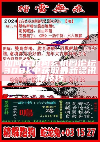 如何在跑狗玄机图论坛308k中获取最新资讯和技巧