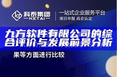 九方软件有限公司的综合评价与发展前景分析