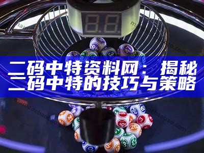 二码中特资料网：揭秘二码中特的技巧与策略