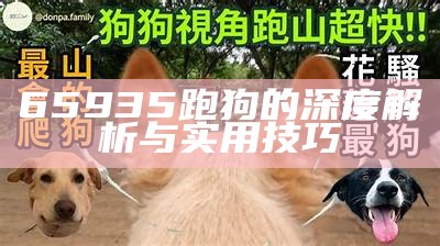 65935跑狗的深度解析与实用技巧