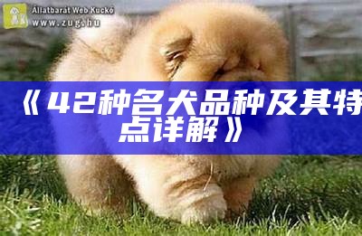 《42种名犬品种及其特点详解》